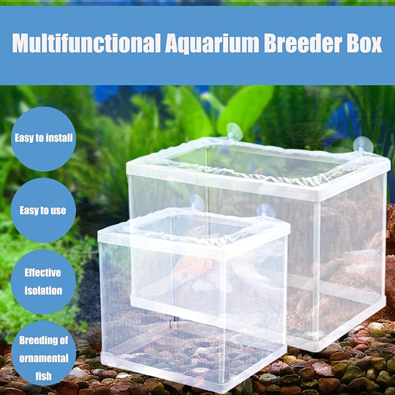 Boîte d'élevage de Poissons d'aquarium Acrylique Ventouses, Boîte