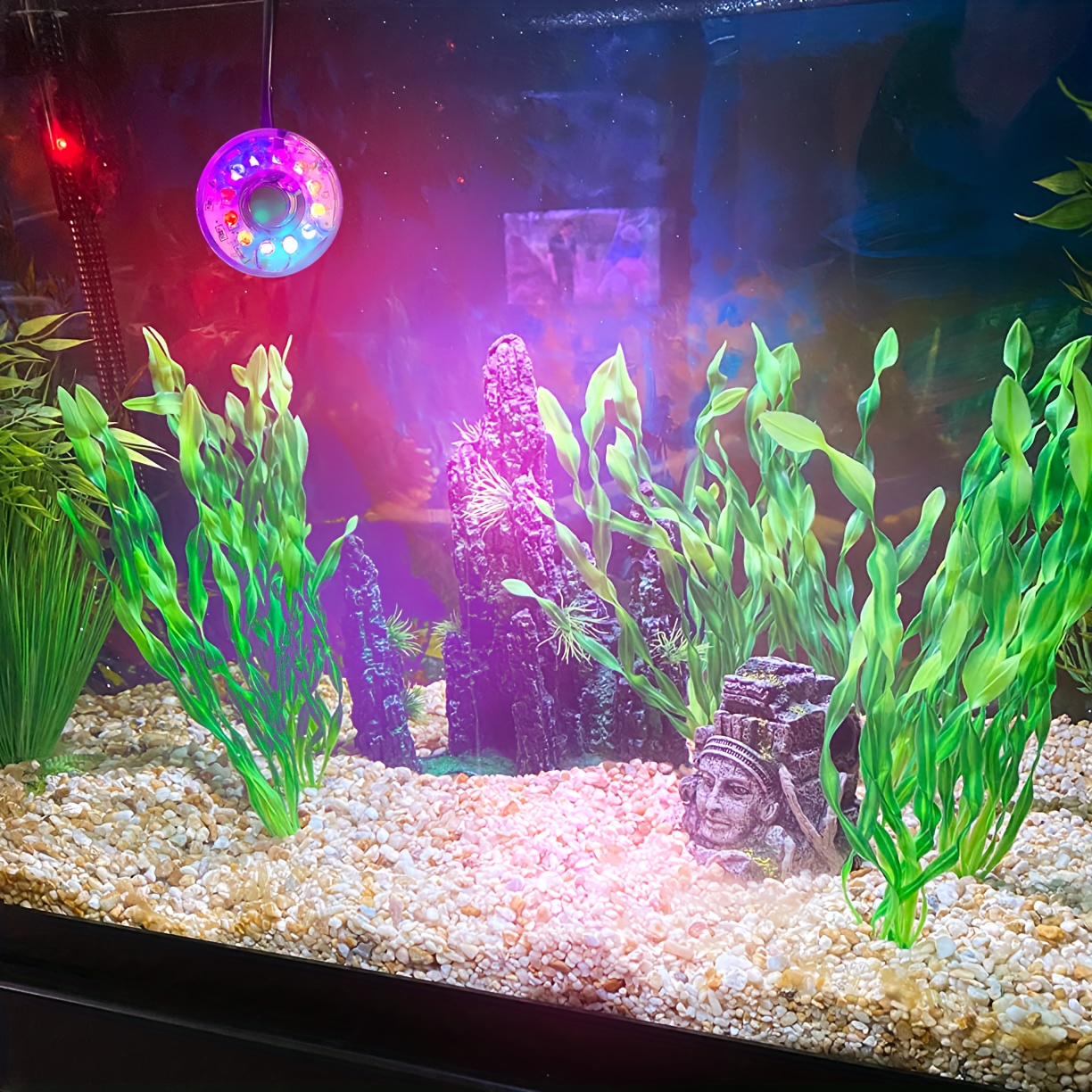 Boîte à poisson 5 couleurs avec accessoires d'aquarium de réservoir de  poissons de boîtier détachable créatif léger 
