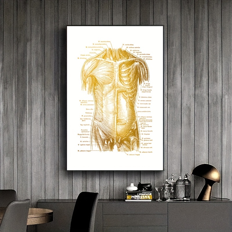 8 Pezzi Opere D'arte Vintage Anatomia Umana Scheletro - Temu