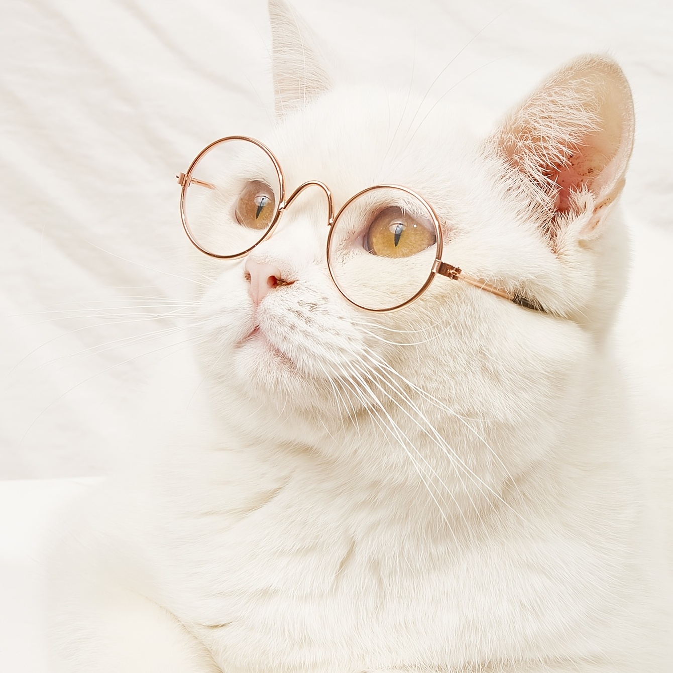 Adorable Cat Sunglasses - Pet Glasses For Dogs & Cats