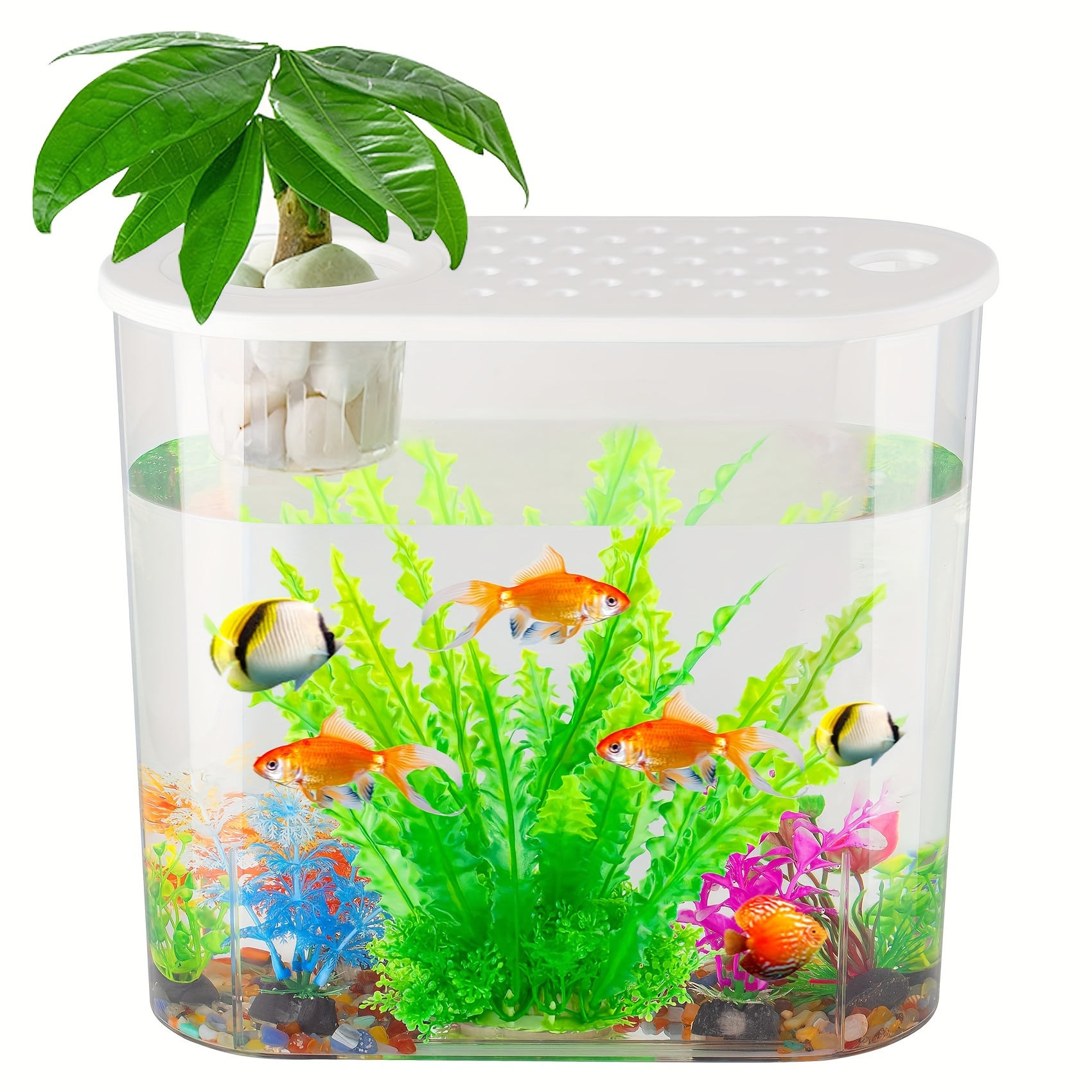Acrylic Mini Aquarium Double Betta Fish Bowl Aquariums Incubator