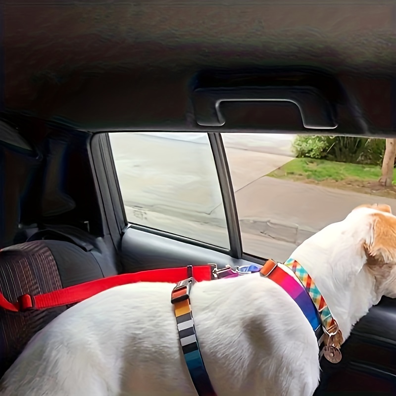 Lukovee double Chien Ceinture de sécurité, double pour animal domestique de  voiture Ceinture de sécurité réglable pour chien double Coupler Laisse avec  élastique élastique : : Animalerie