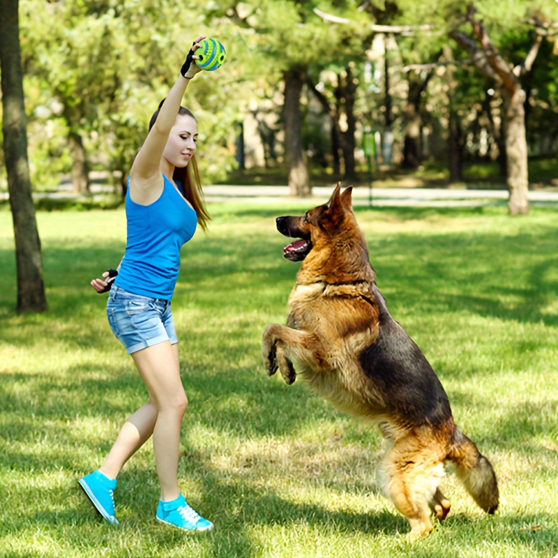 Juguete interactivo para perros, juguetes de bolas de limpieza de