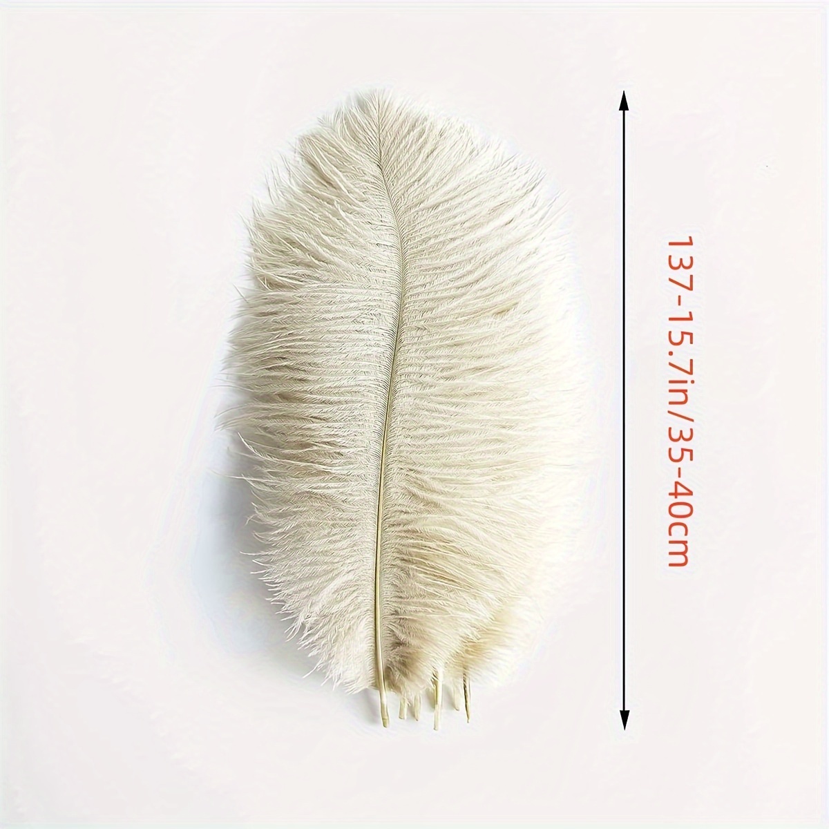 Natural Ostrich Feathers / Bulk For Diy - Temu