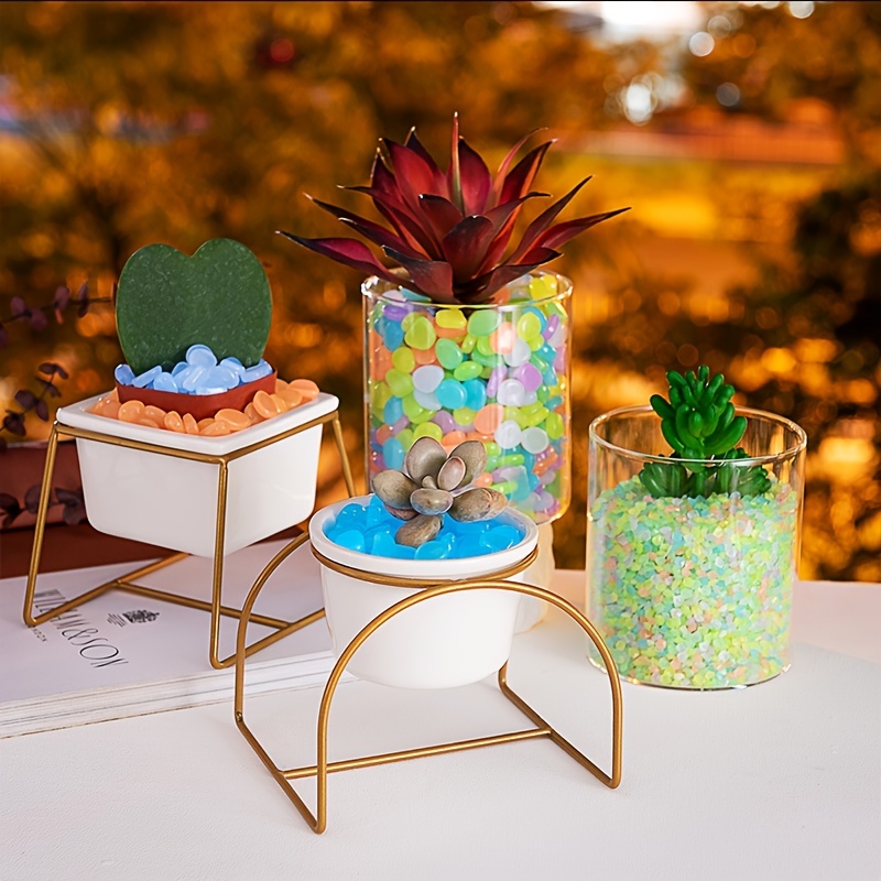 Galets lisse naturel-Pierre multicolore décoratif (Aquarium,vase,bonzai,vivarium