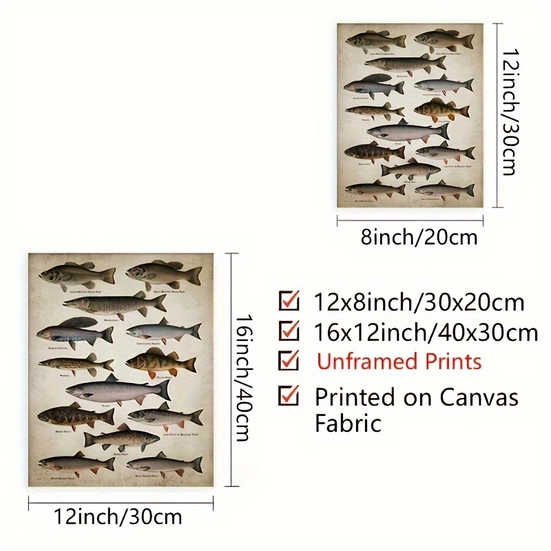 Canvas Poster Fishing Angling Breeds Fish Freshwater Fish - Temu