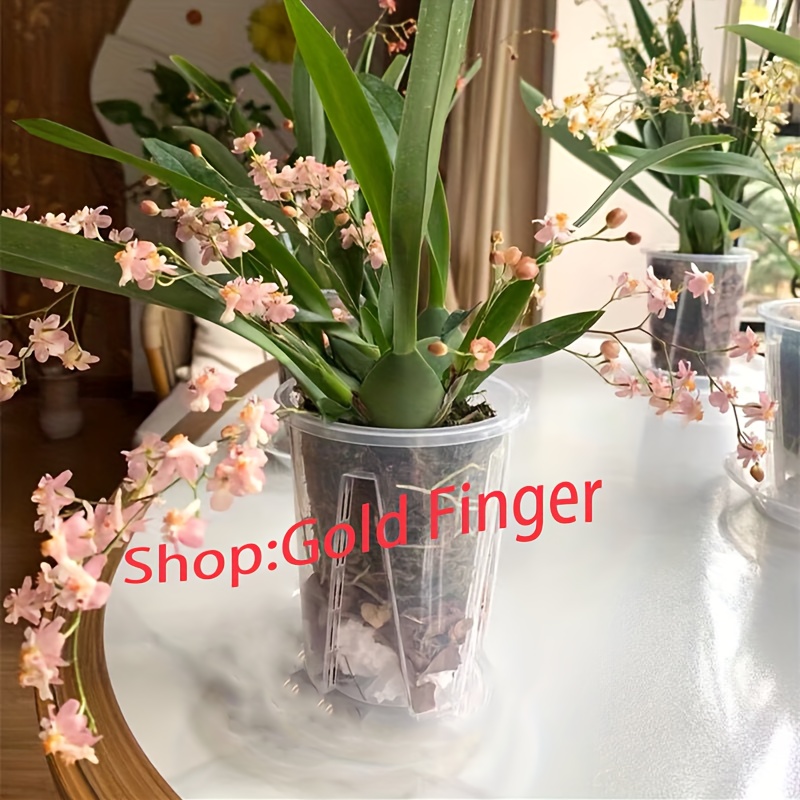Orchidea vaso bianco lucido, Shop Online, Showroom Giochi di spazio
