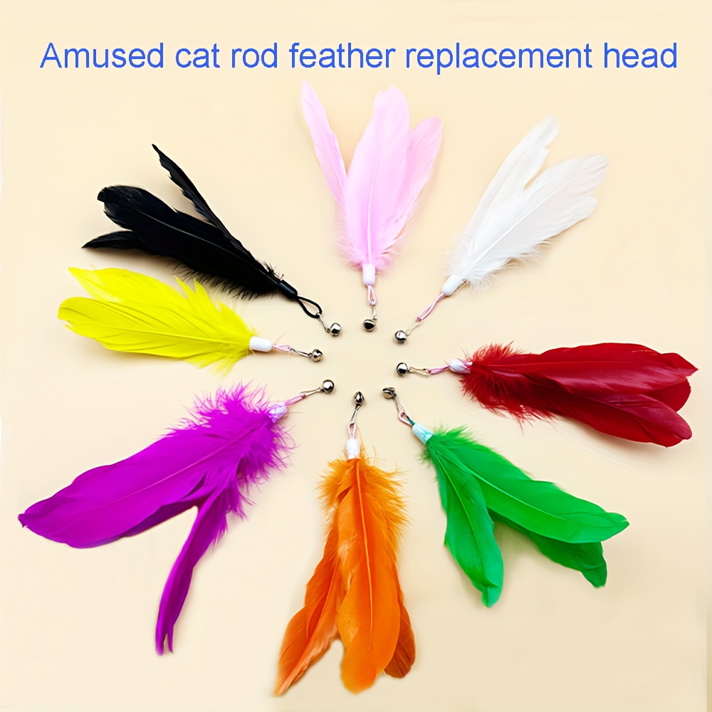 random 4 Colors)cat Teasing Stick Replacement Head Feather - Temu