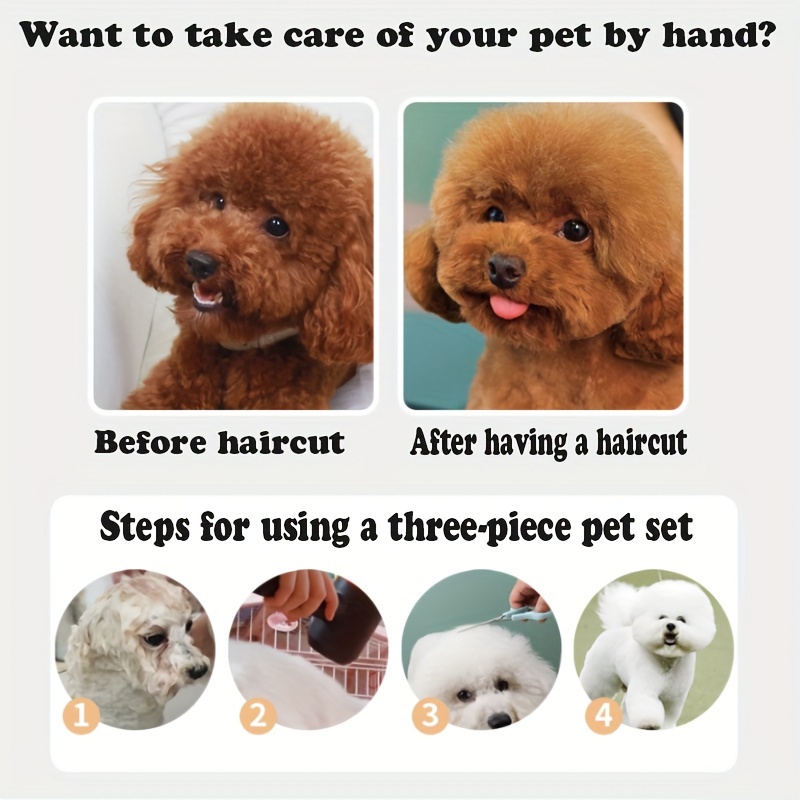 perros peludos cortes de pelo para french poodle macho Toy Poodle Puppy Corte De Pelo A French Poodle Perros Peludos Poodle Toy  Cortes De Pelo Para Perros Peludos Corte