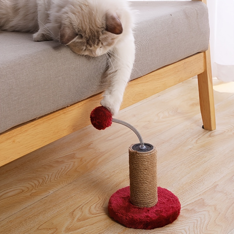 cat spring toy