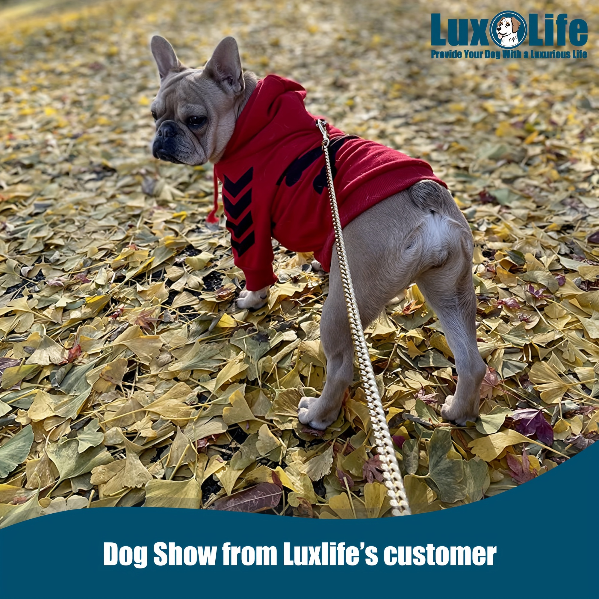 Golden 12mm Dog Chain Leash with Handle