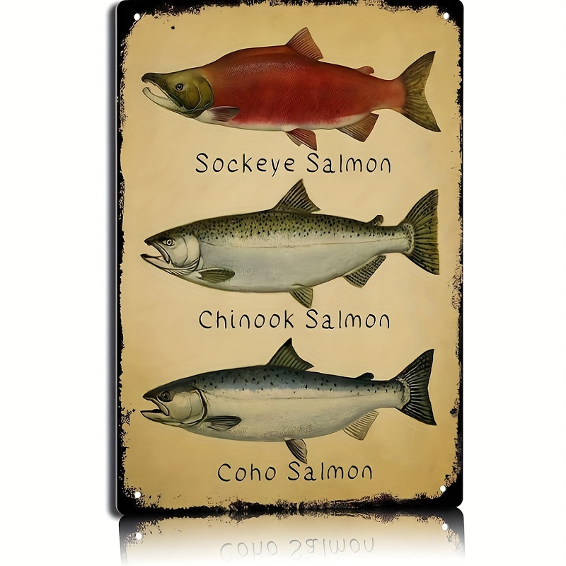 Fishing Tin Signs Salmon Poster Sockeye Salmon Fishing - Temu Canada