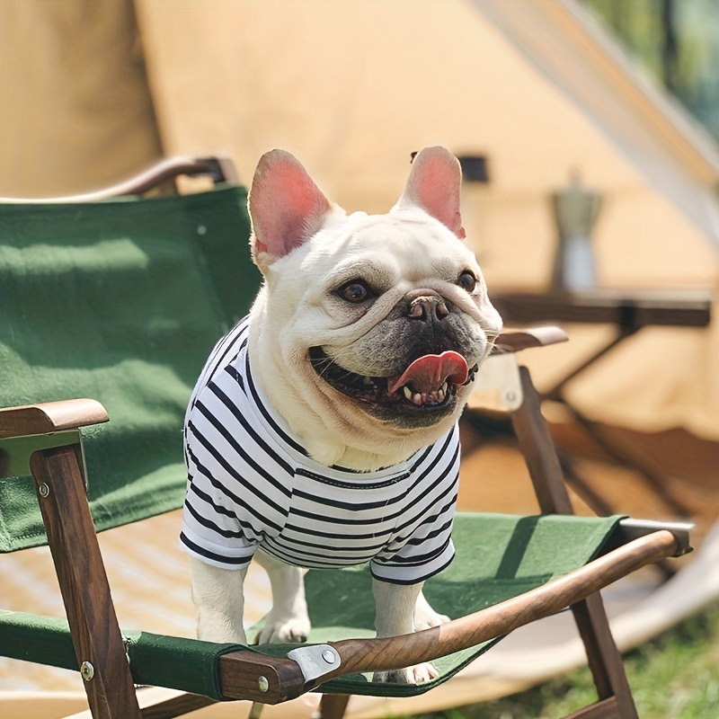 Black and white on sale striped dog shirt