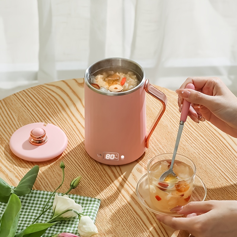 Electric Stew Pot Stewing Out of Water Household Health Soup Mini