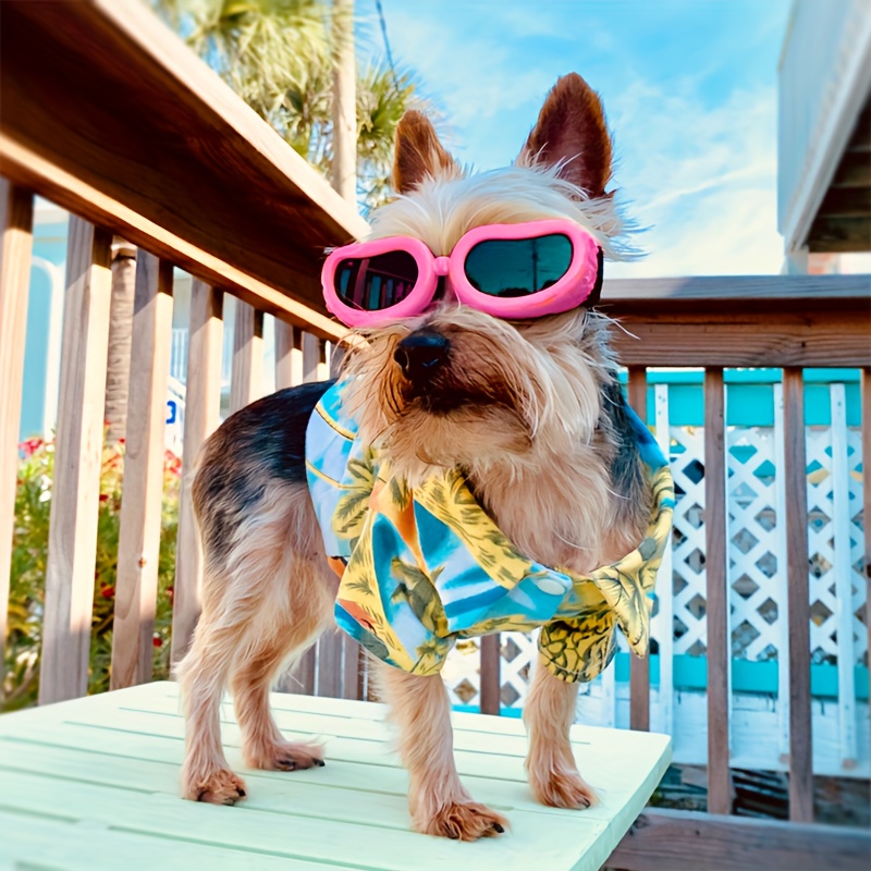 Small best sale dog sunglasses