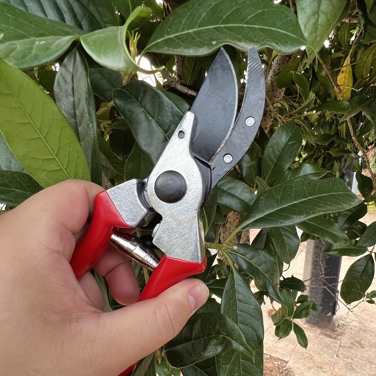 1pc, Tijeras De Jardín Tijeras De Podar Árboles Frutales Tijeras De Podar  Ramas Gruesas Ahorro De Trabajo, Mango De Agarre De Cojín Suave Clippers Par