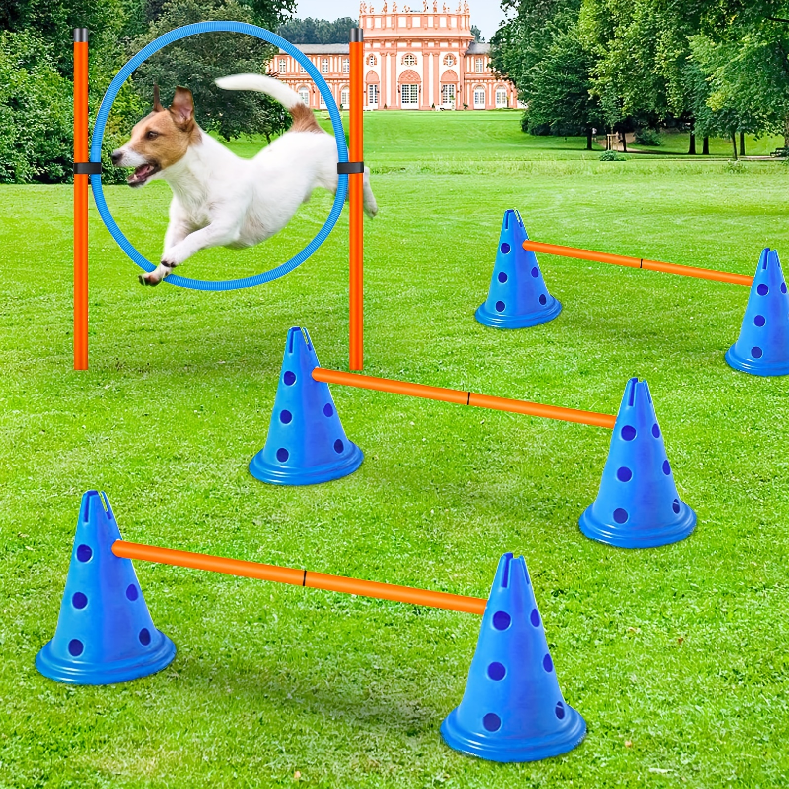dog agility training set obstacle course