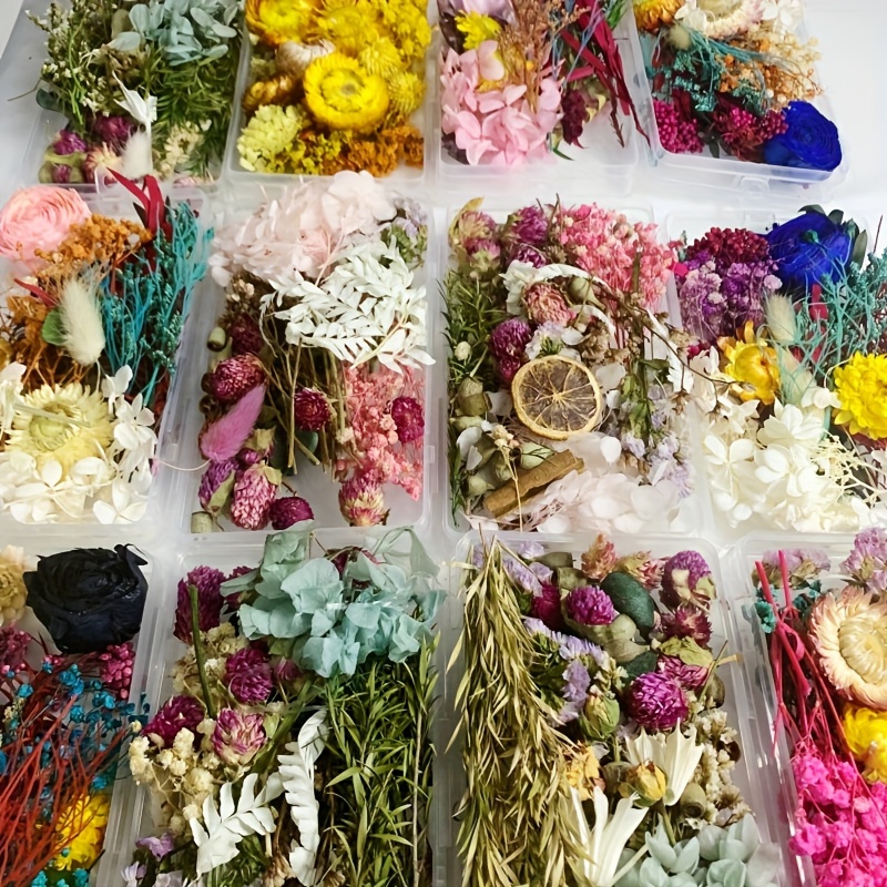 1Bag Natural Dried Flower For Aromatherapy Candle Making Epoxy Resin  Jewelry Dry Plants Dried Flowers Making Craft Accessories