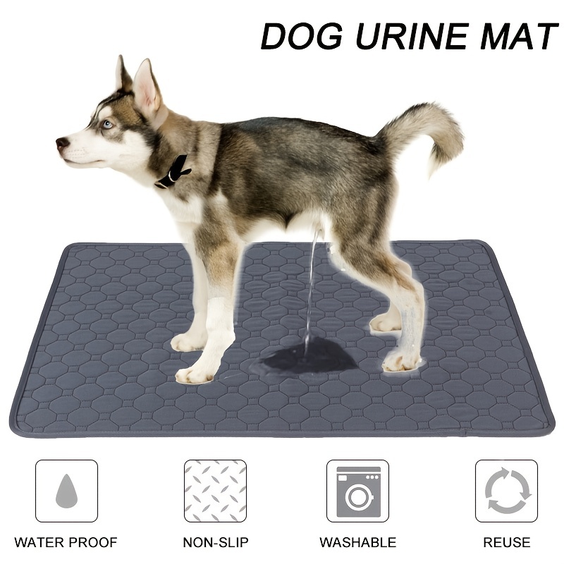 Washable Dog Training Pads