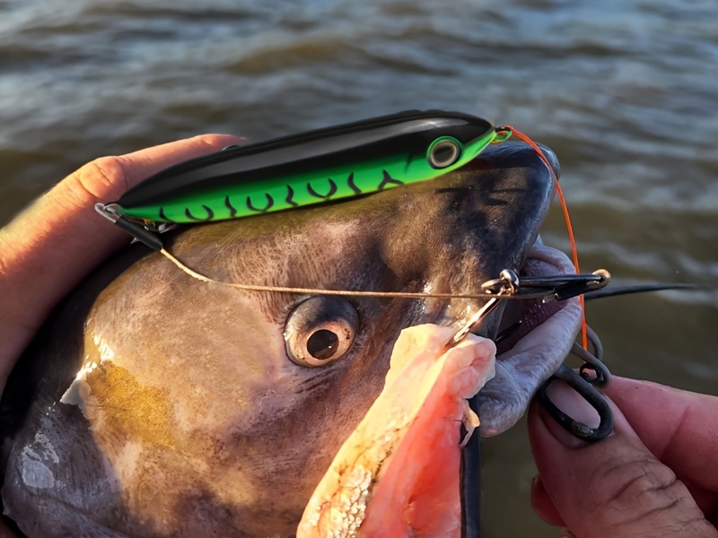Demon Dragon Style Rattling Line Float for Santee Rig by Catfish Sumo