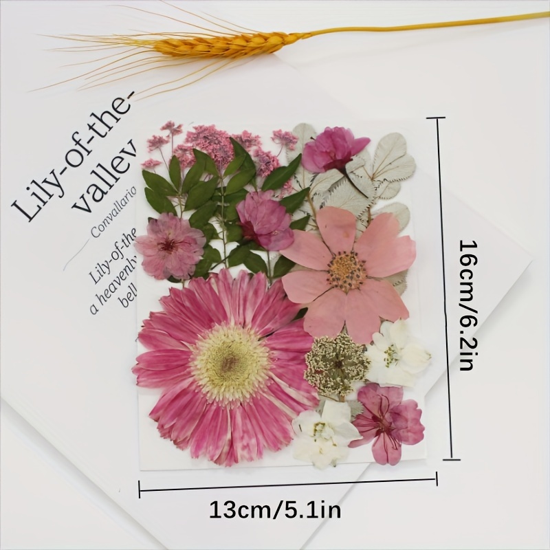 Dried Flowers Resin Real Pressed Flowers Dry Leaves Bulk Diy - Temu