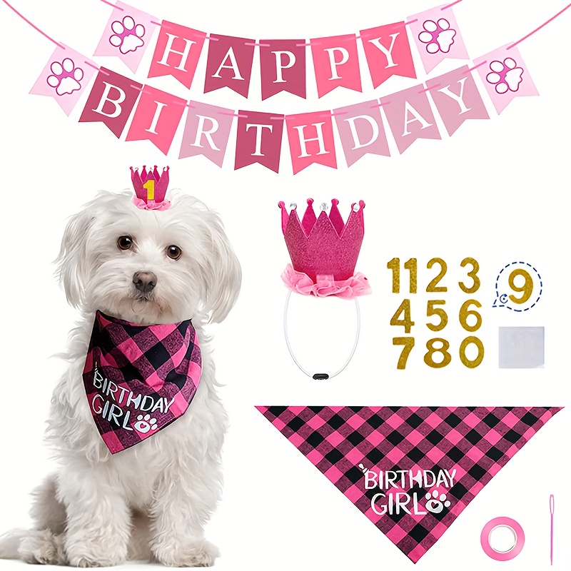 Birthday Girl Dog Scarf  Designer Dog Accessories and Cute Clothes at