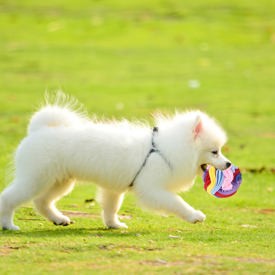 Sniffing Ball Dog Toys Interactive Puzzle Dog Slow Feeding - Temu