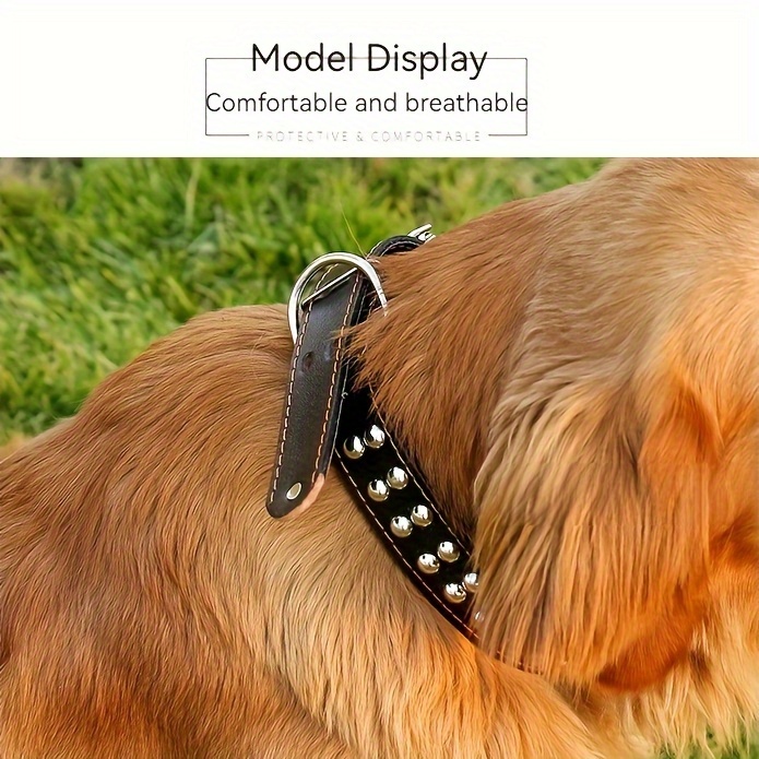 Punch dog collar