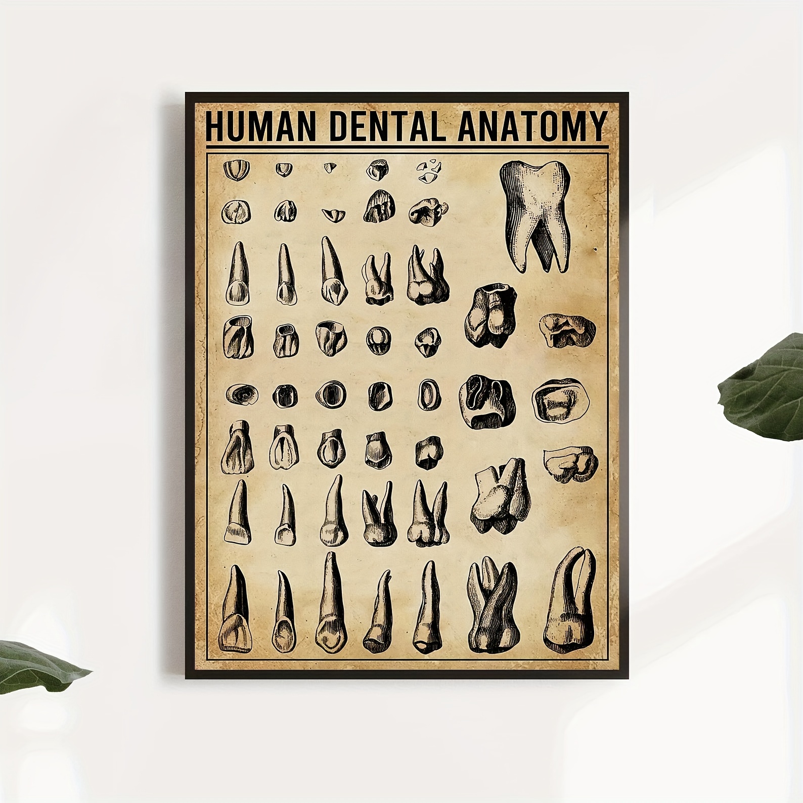 Teeth Art Dentist Tools Print Anatomy Art Dental Instruments