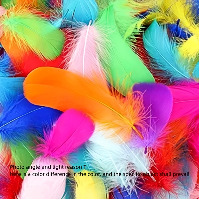 Goose Loose Colorful Feathers For Crafts / Wedding - Temu