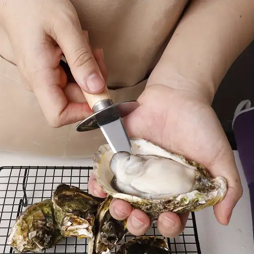 1pc outil de coquille de fruits de mer couteau à huîtres ouvert couteau à  huîtres crues manche en plastique couteau à huîtres en acier inoxydable -  Temu France