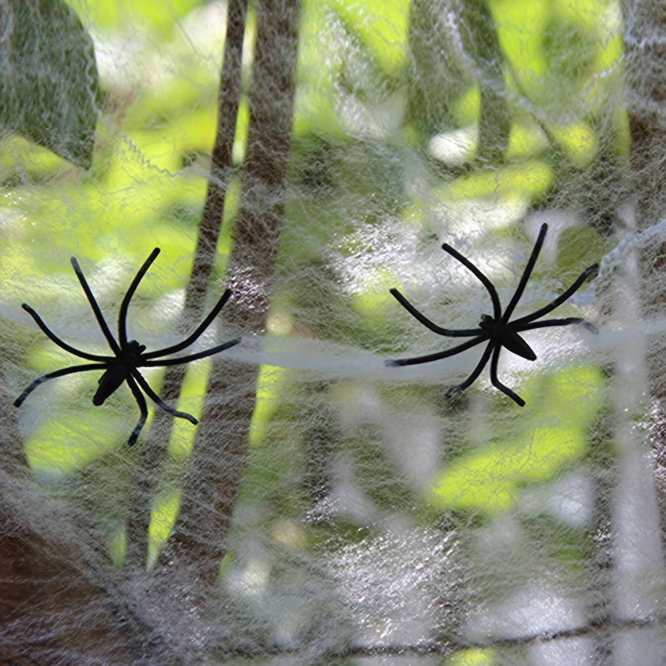 Why Spiders Decorate Their Webs