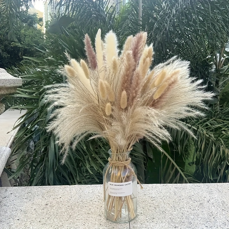 Decoración de flores naturales de Pampas secas esponjosas, hierba de cola  de conejo seca para arreglos florales de boda Boho, decoración de bricolaje  para el hogar de la habitación - AliExpress