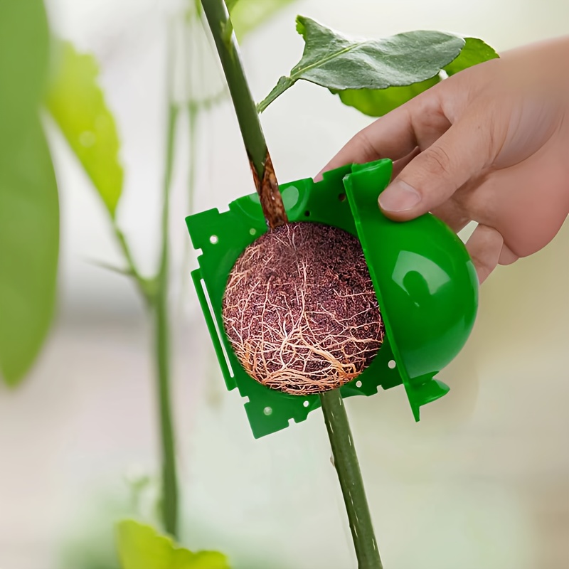 

10/20pcs Tree Root Growing Box, Rooting Ball Grafting Tools, High Pressure Plant Propagation, Air Layering Pods, Grafting Ball Device For Plant Cutting Seedlings