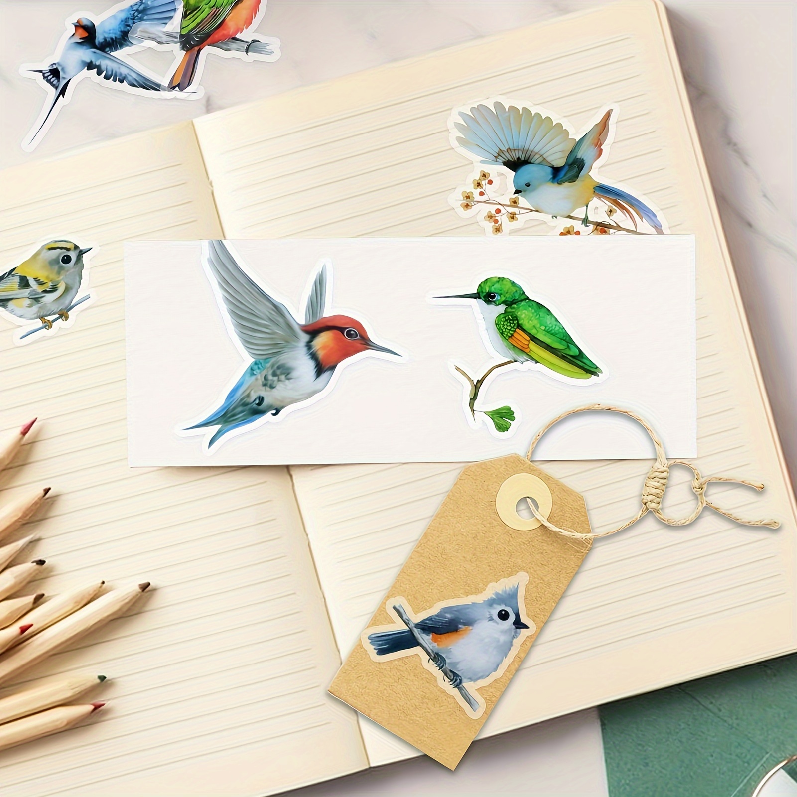 Bird Stickers Transparent Colorful Bird Stickers Pet Vintage - Temu