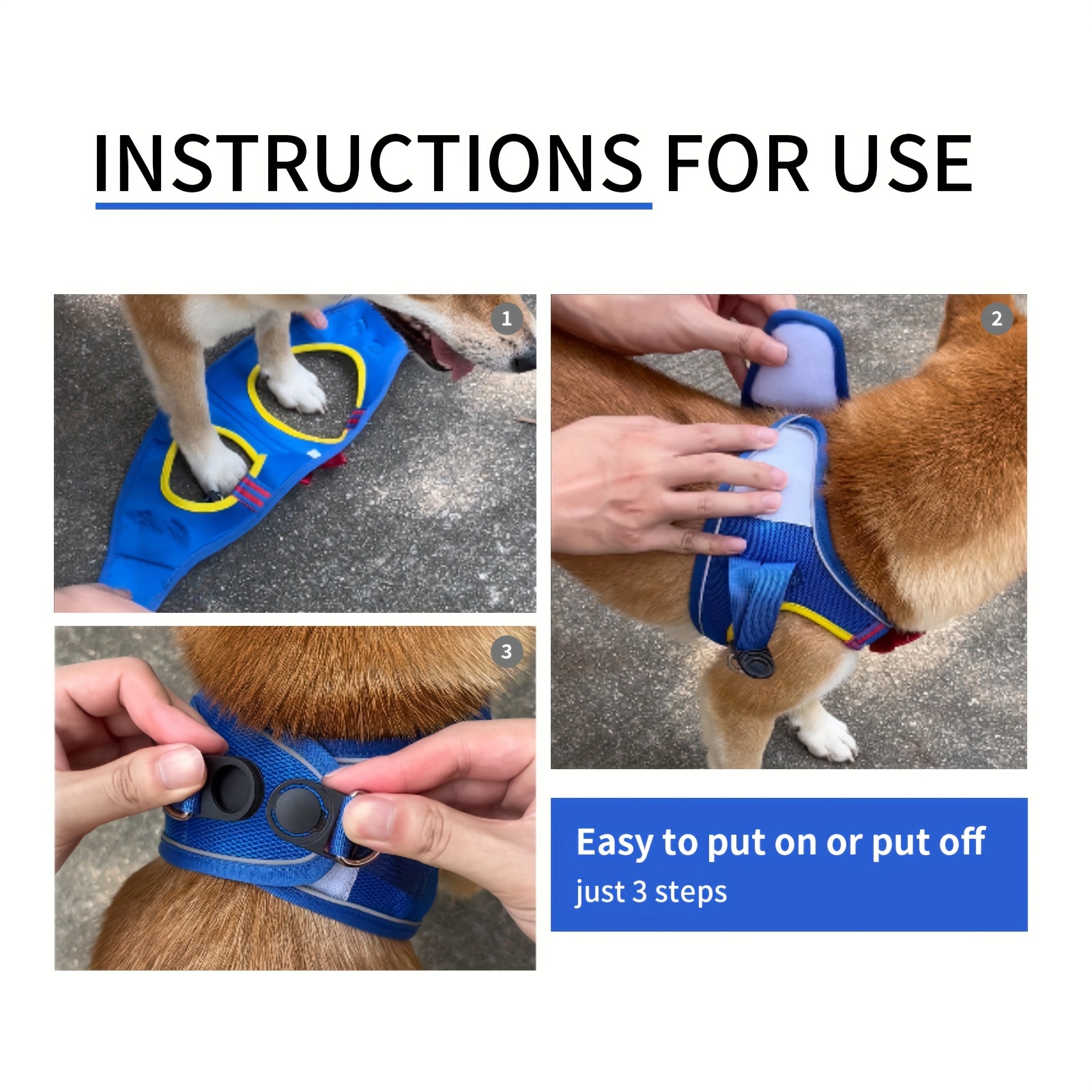 How To Put On A Dog Harness: Step-By-Step Directions From An