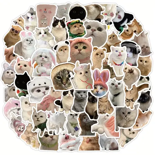 100pcs Funny Cat Stickers For Water Bottles, Kawaii Stickers Pack, Cute Cat  Waterproof Stickers For Water Bottles Kindle Luggage Guitar Laptop, Vinyl