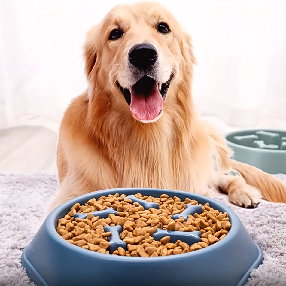 Slow Feeder Dog Bowl Anti Gulping Healthy Eating Interactive Bloat