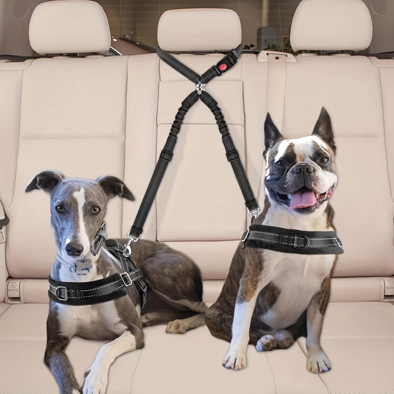 Cinturón de seguridad para perro, cinturón de seguridad doble para perro,  hecho de acero inoxidable, arnés de conexión divisor de coche resistente  sin