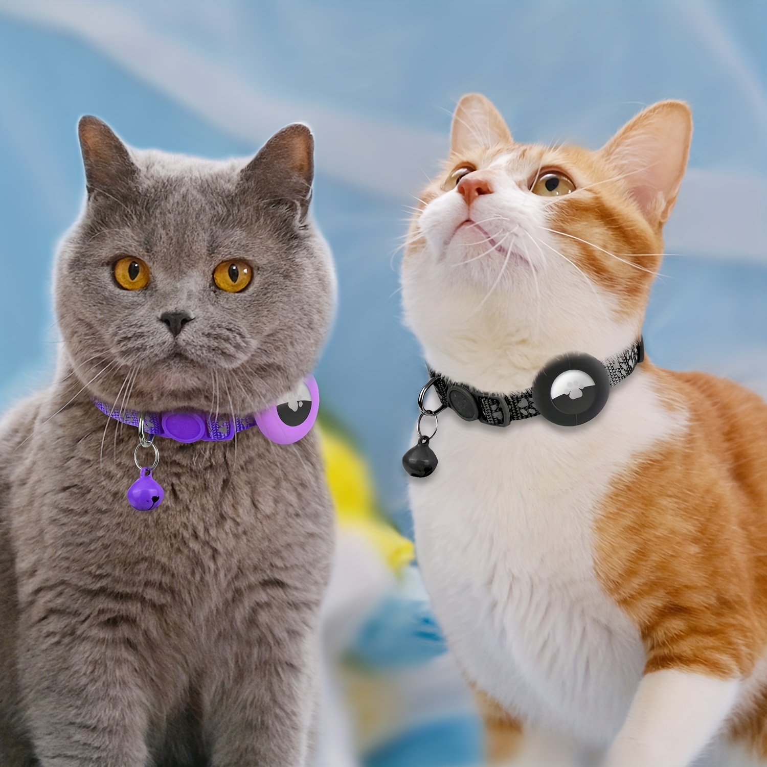 Collar Para Gatos Collar Integrado Para Gatitos Con Soporte - Temu Chile