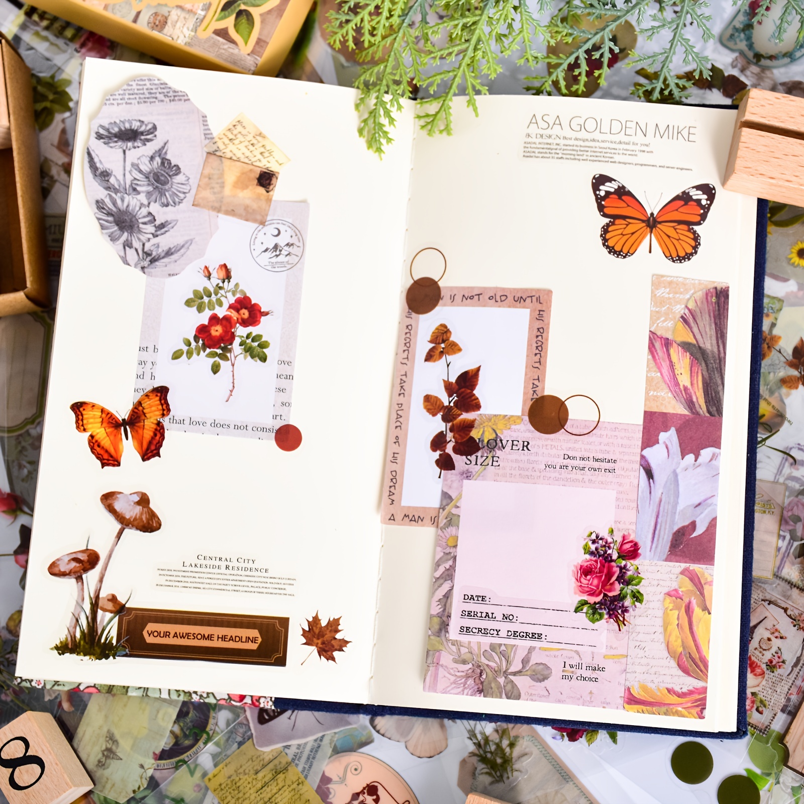 Country Chic Floral Butterfly Scrapbooking Starter Kit - Scrapbook,  Stickers and Materials