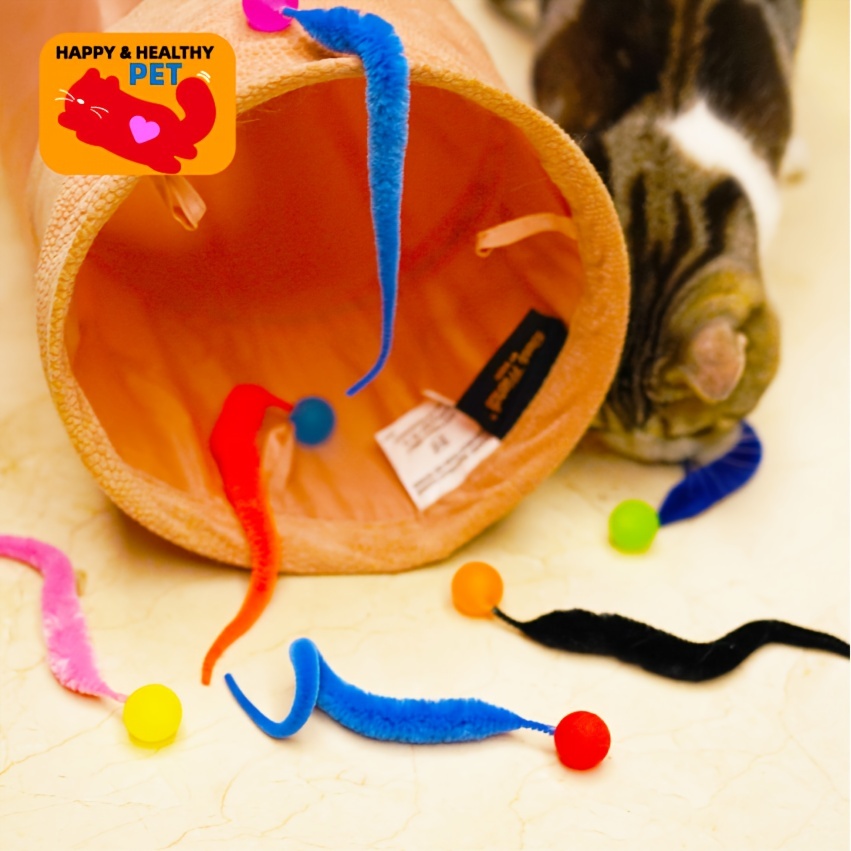 Cat Worm Toy - Temu Japan