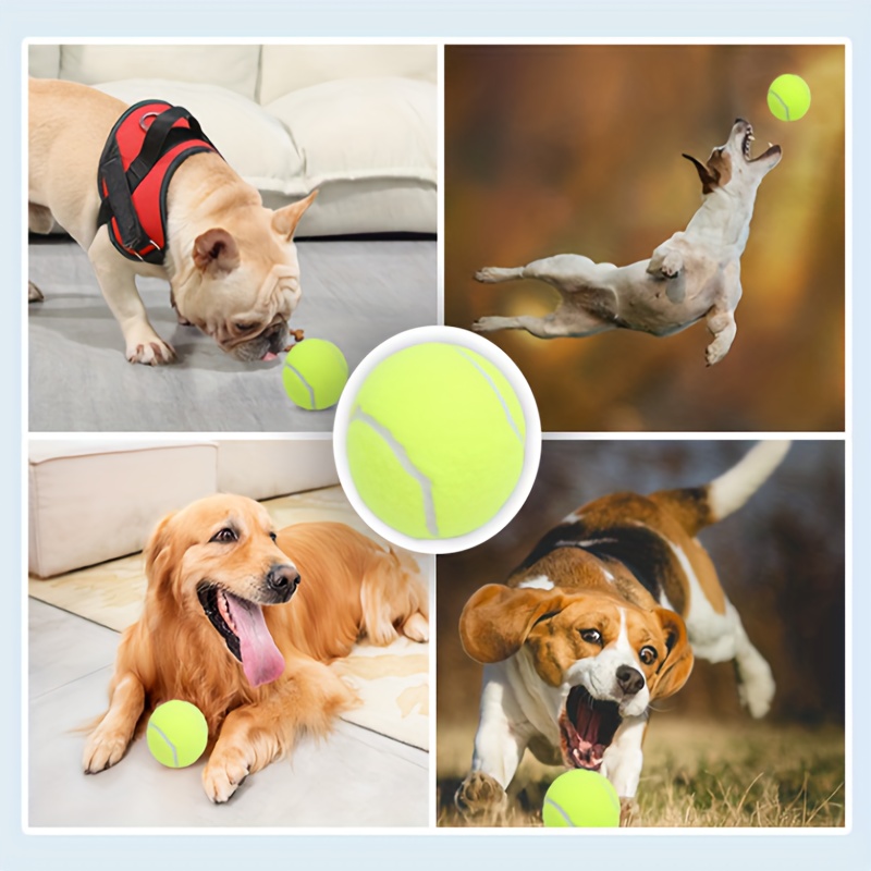 Dog Ball Toys For Small Dogs Interactive Elasticity Puppy - Temu