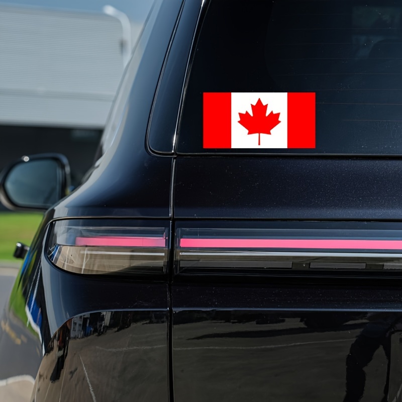 Bandera personalizada del coche con el montaje de la taza de la
