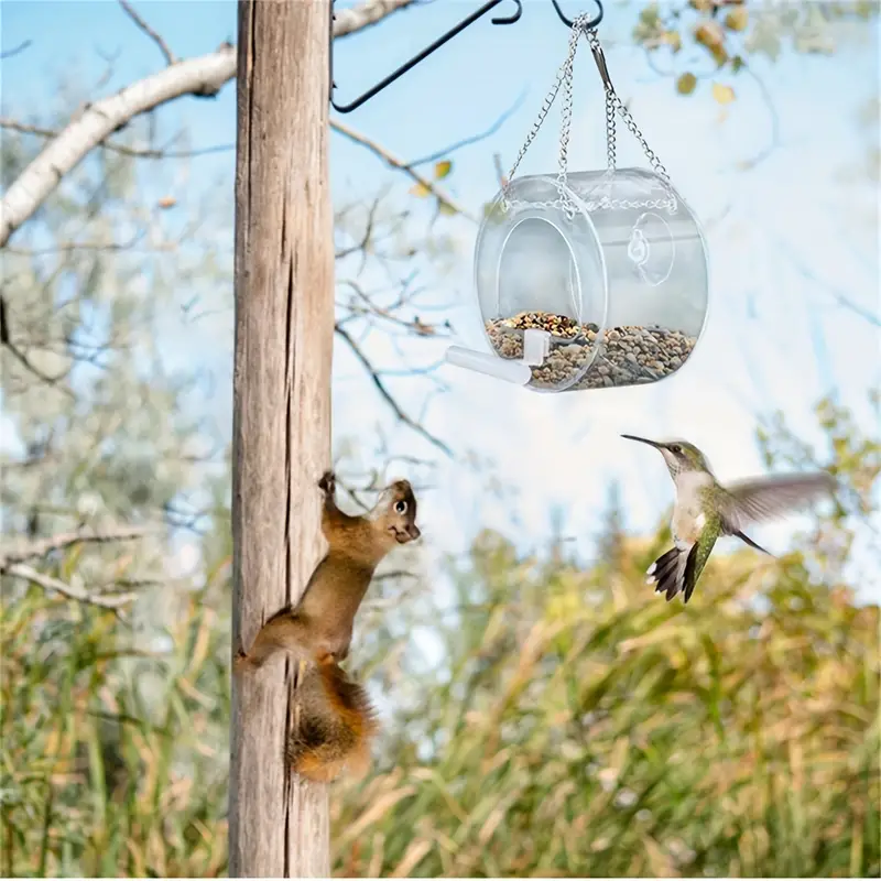Bird Feeder, Courtyard Hanging Et Bird Feeder Avec Ventouse, Décoration De  Mangeoire Pour Oiseaux - Temu France