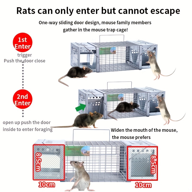 Humane Rat Traps Outdoor and Indoor, Single Door Cage Rodent Trap, Live  Traps for Chipmunks, Catch and Release, Chipmunk Traps That Work for Rats