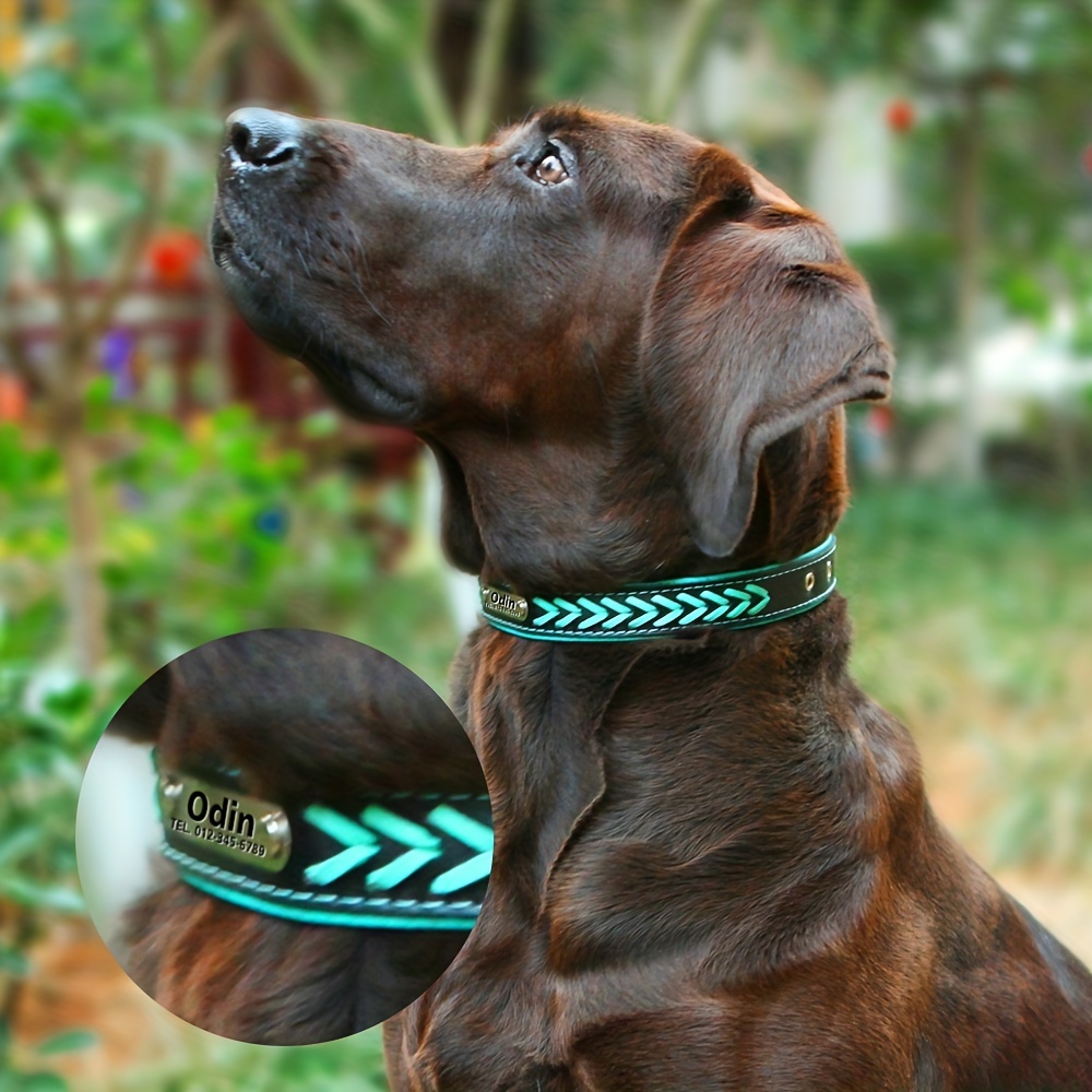 Hermes Hound Leather Dog Leash- 9 Colors