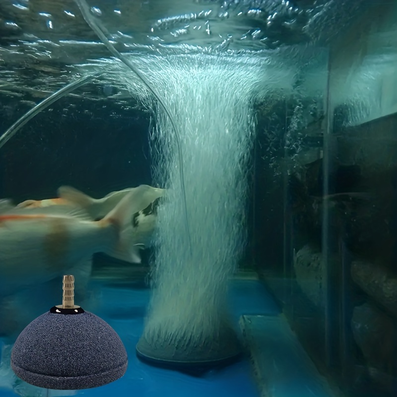 Aquarium-Fischtank, Gewölbter Brotblasen-Ausströmer, Durchmesser 6 Cm  (Einlass 4 Mm Sus 304-Verbindungsrohr) - Temu Austria