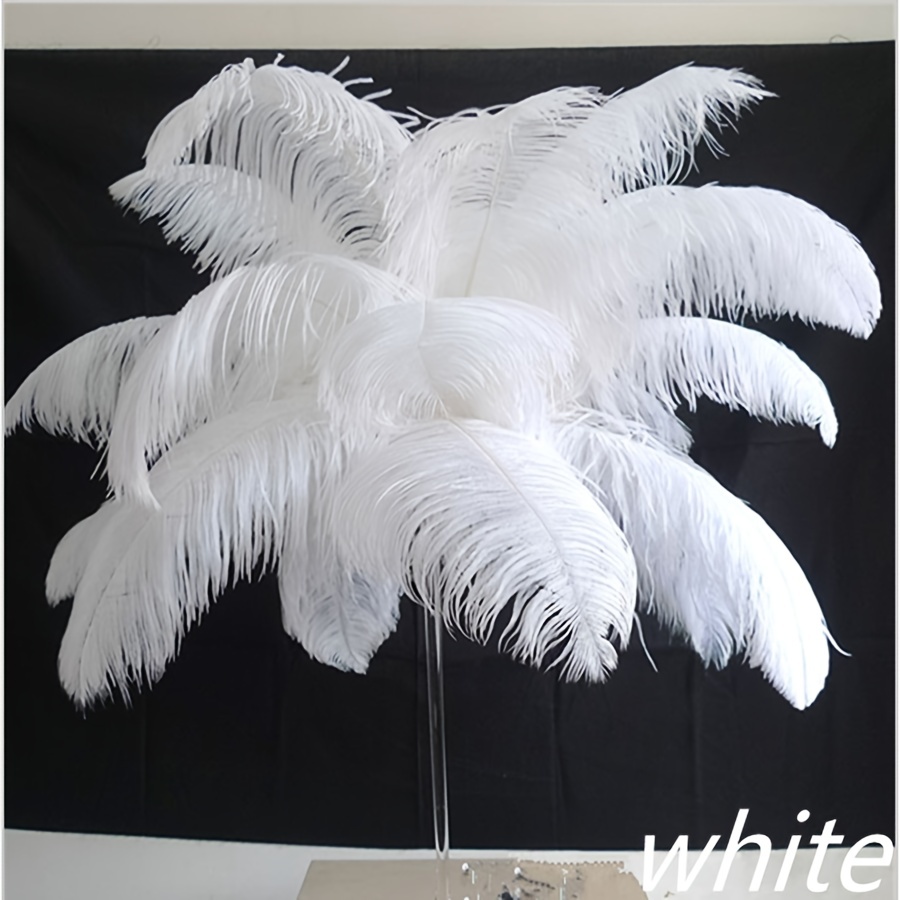 10Pcs/Lot 50-55cm Ostrich Feathers for Crafts Table Centerpieces Handicraft  Accessories Feather for Vases Natural Carnival Plume