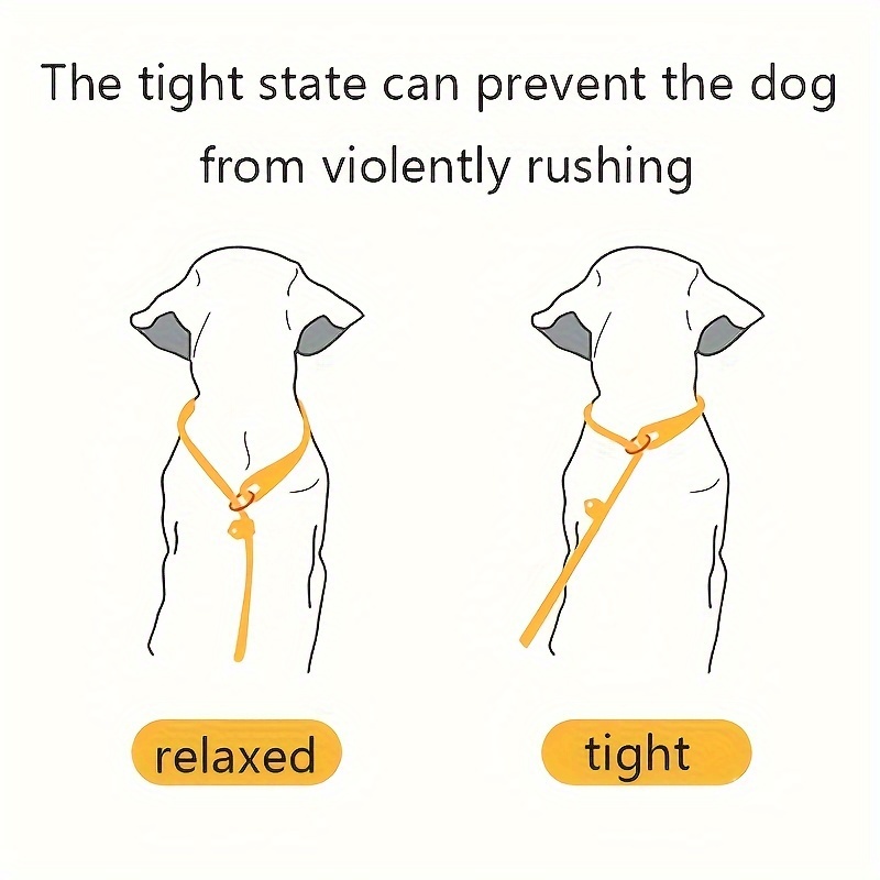 Outdoor Training Leash for Dogs, Strong Traction and Control